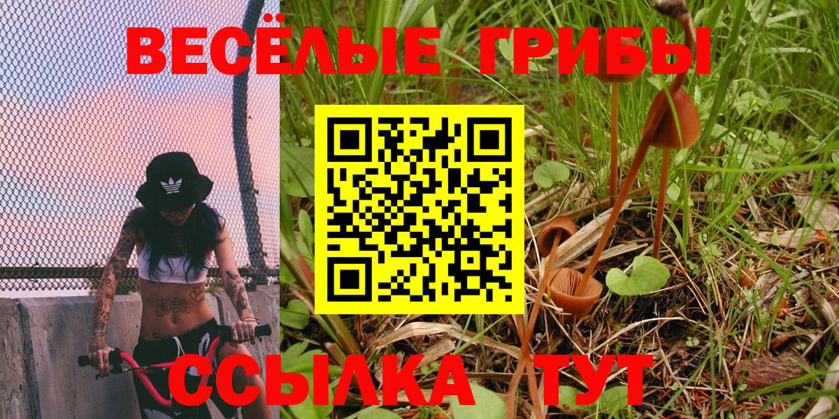 Псилоцибиновые грибы Magic Shrooms  Вход с VPN  Мичуринск  Галлюциногенные грибы Psilocybine cubensis 