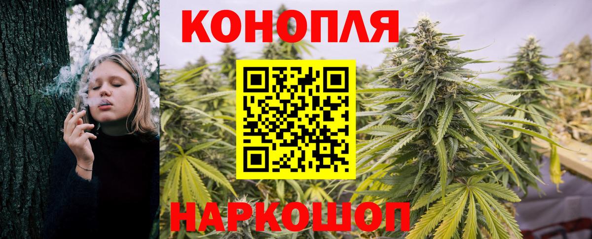 Канабис OG Kush Мичуринск